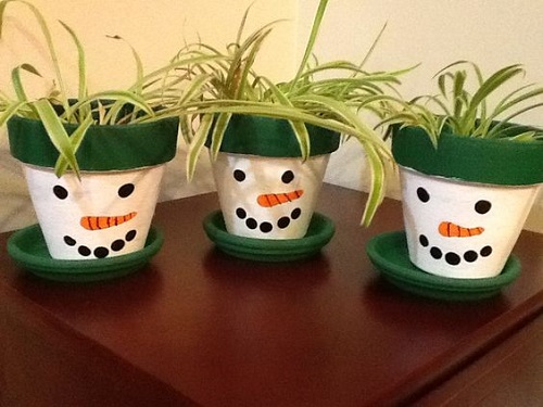 creative DIY spider plant pot 