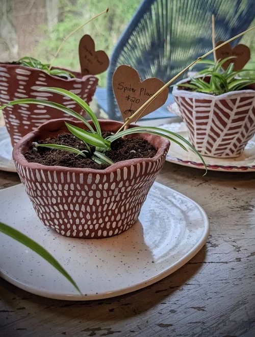 creative DIY spider plant pot 2
