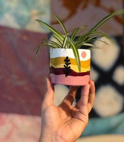 Best DIY Spider Plant Pot Ideas 3