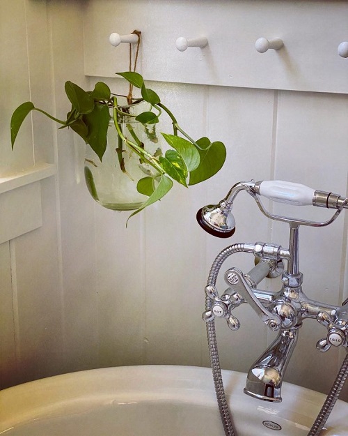 Plants in water in bathroom ideas 2