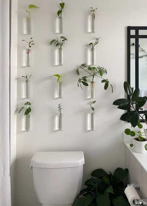 Plants in water in bathroom ideas 3