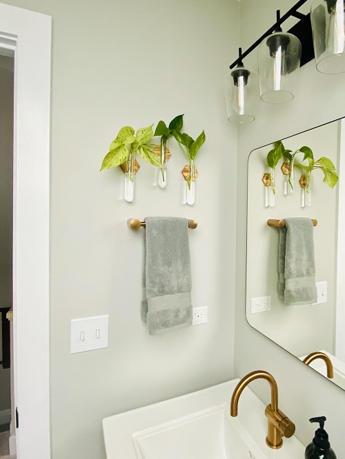 Plants in water in bathroom ideas 4