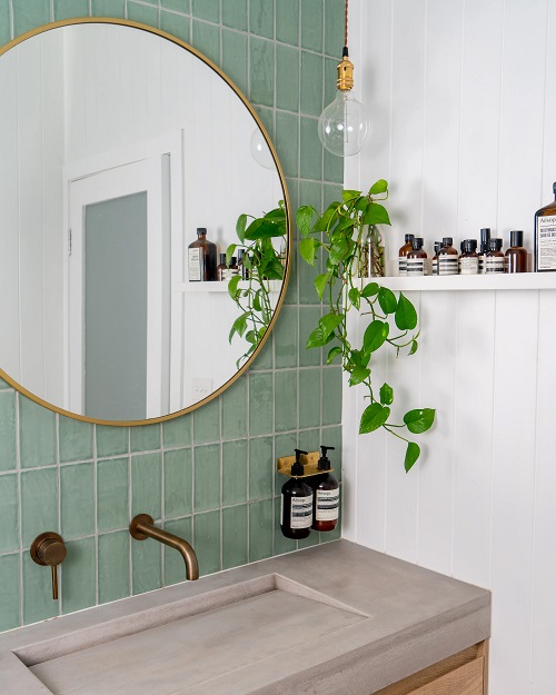 Best Plants in water in bathroom ideas 2