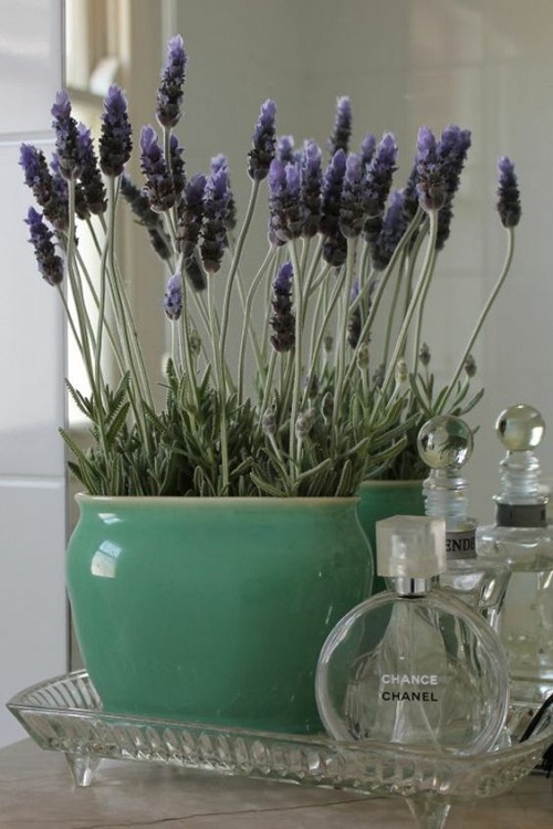 lavender pot in bathroom