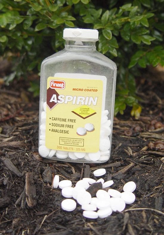 Homemade Rooting Hormone