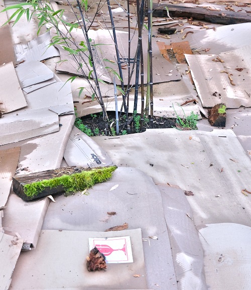 Cover Raised Beds with Cardboards in Winter for These Benefits 2