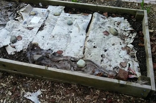 cardboards for soil compost