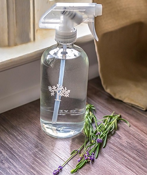 This Kitchen Herb Will Keep Pests Away From Your Home Naturally 3