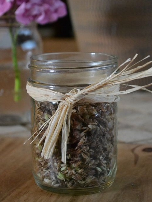 Lavender Potpourri to deter pests